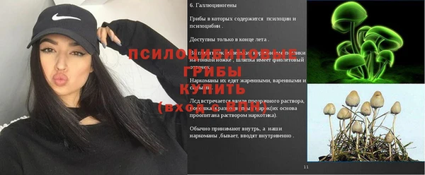 крисы Вязники