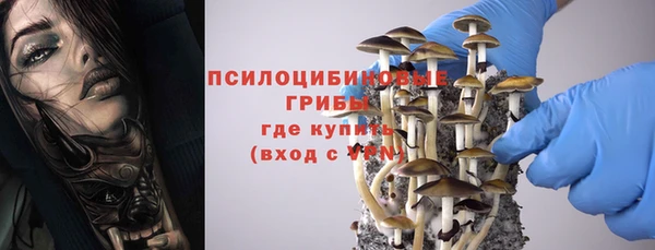 крисы Вязники
