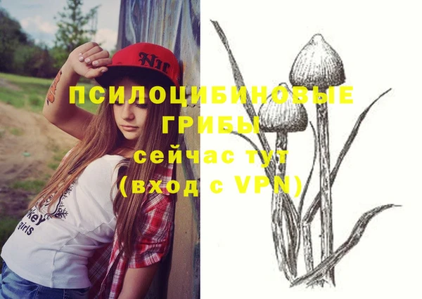 крисы Вязники