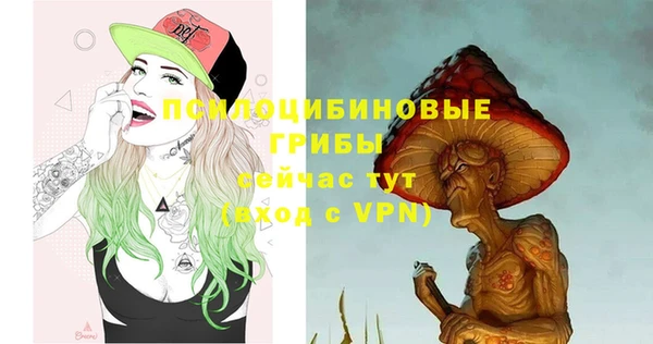 крисы Вязники
