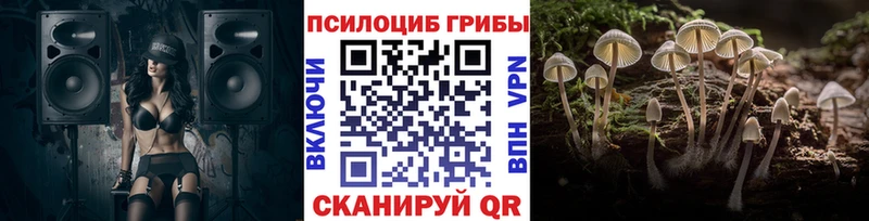 Псилоцибиновые грибы прущие грибы Купить где Белинский